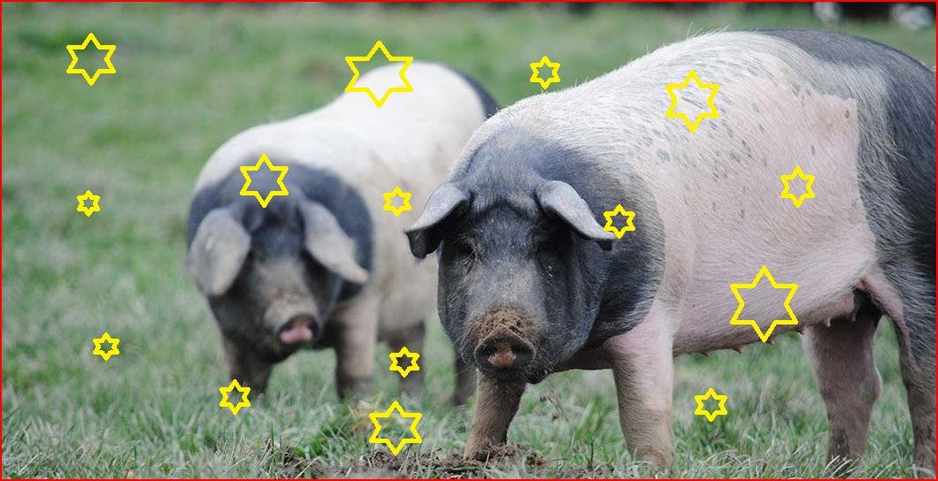 Herrmannsdorfer KUNST & HANDWERK 6.&7.12.2025