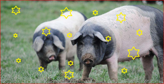 Herrmannsdorfer KUNST & HANDWERK 6.&7.12.2025